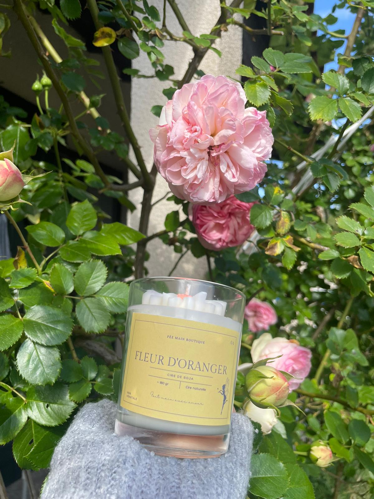 Bougie marguerite FLEUR D'ORANGER