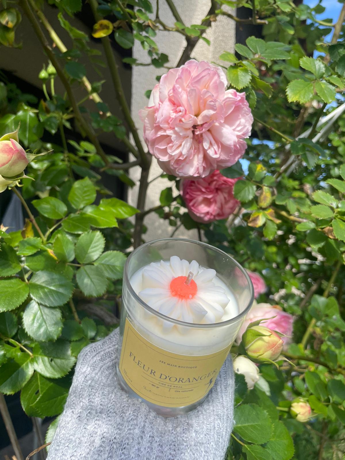 Bougie marguerite FLEUR D'ORANGER