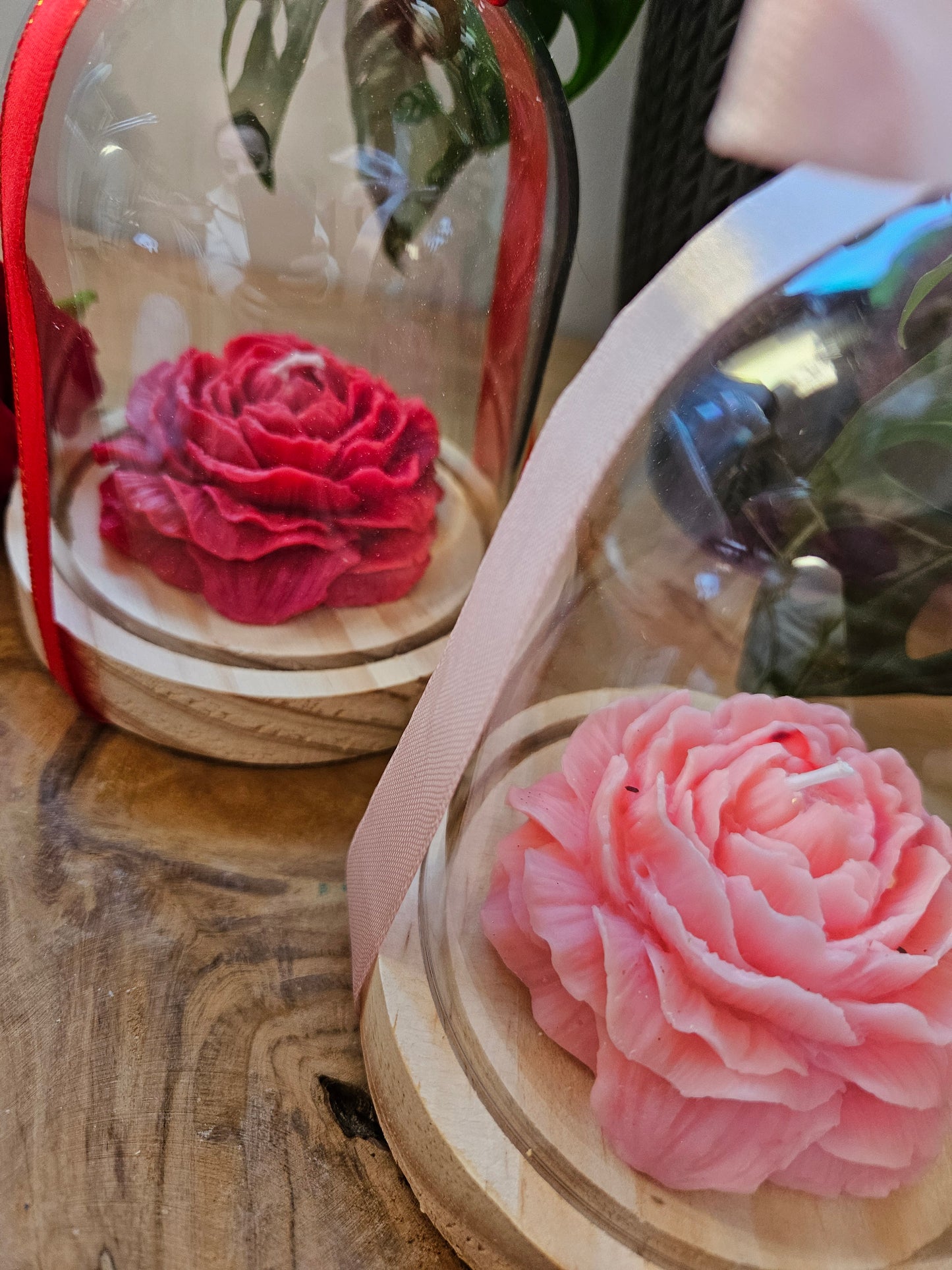 Cloche Pivoine