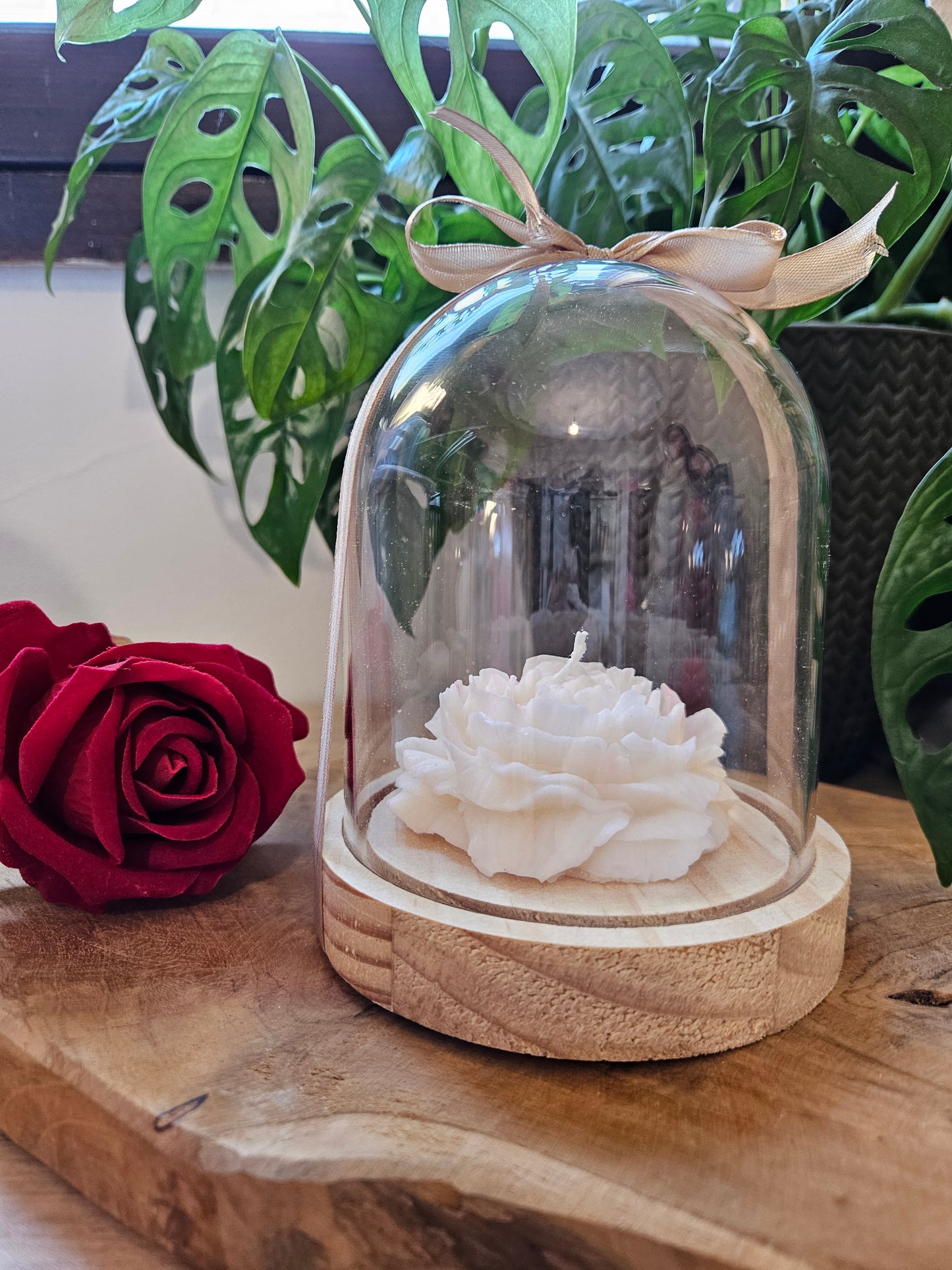 Cloche Pivoine