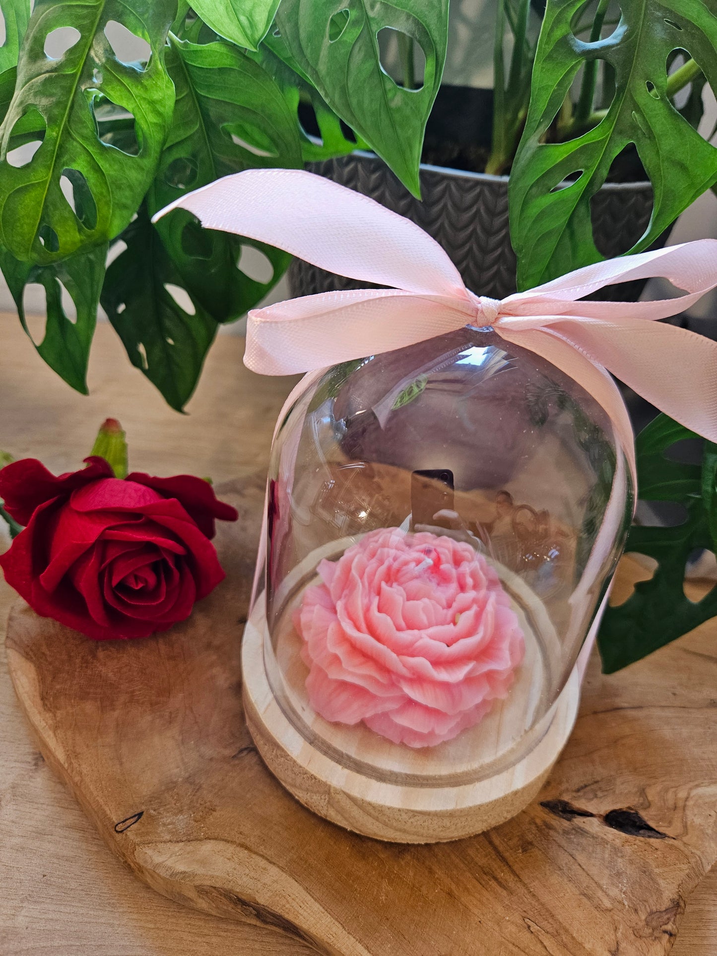 Cloche Pivoine