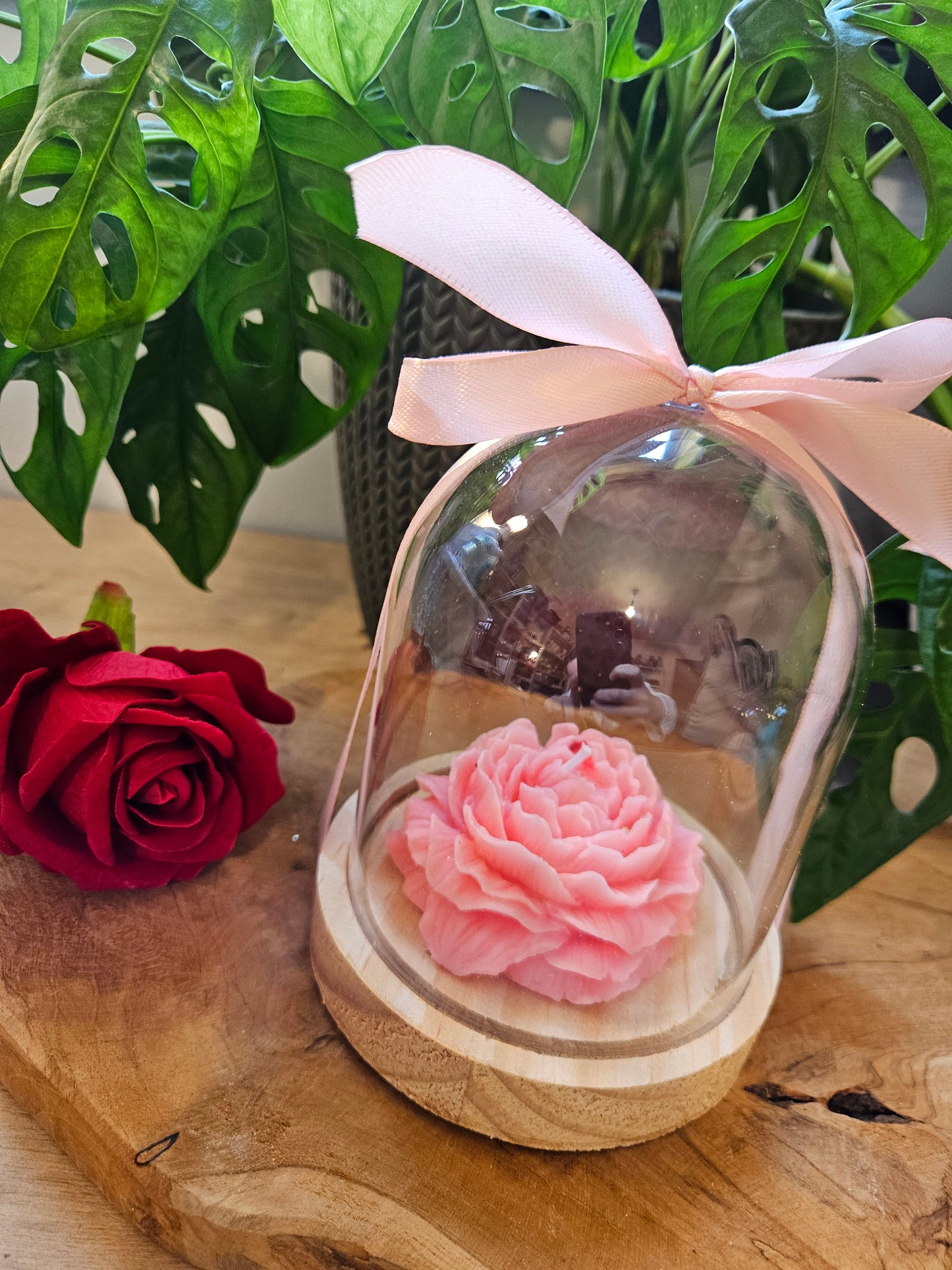 Cloche Pivoine