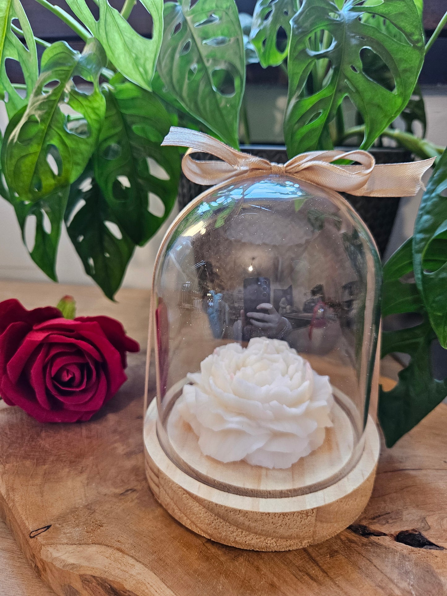 Cloche Pivoine