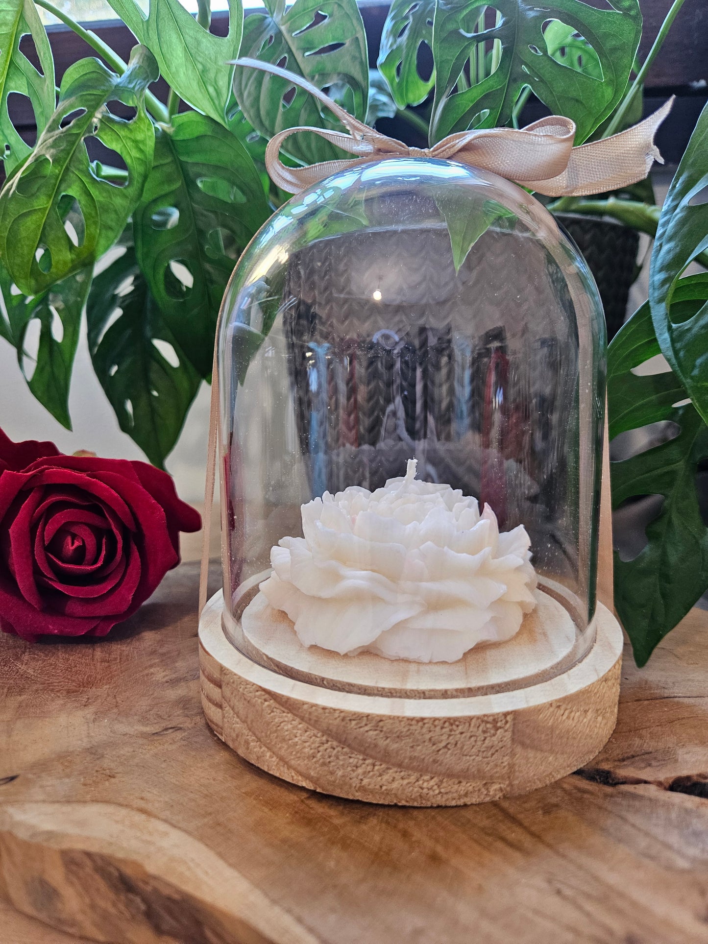 Cloche Pivoine