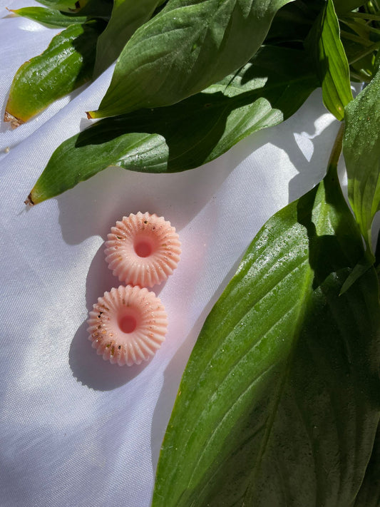 Fondant FRAISE MENTHE