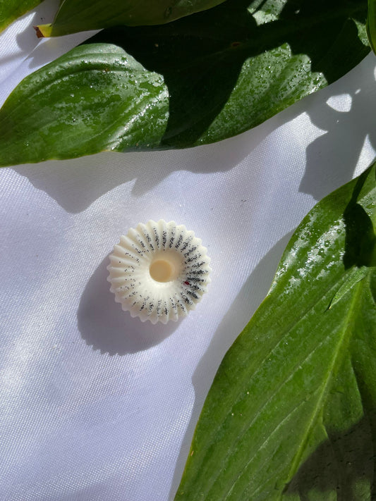 Fondant parfumée FLEUR D'EAU