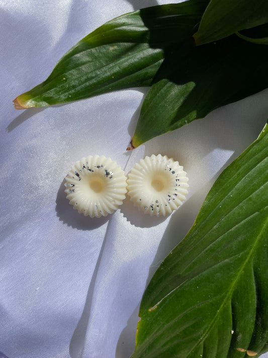 Fondant parfumée CHOCOLAT BLANC BISCUIT